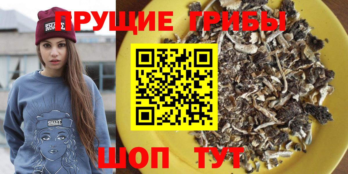 Псилоцибиновые грибы Psilocybine cubensis  Псилоцибиновые грибы Magic Shrooms  купить закладку  Дмитров  Вход с VPN 