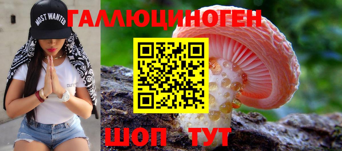 Псилоцибиновые грибы прущие грибы Дмитров